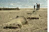 Sand sculpture. Click for larger image.