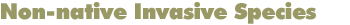 TEACH Invasive Species