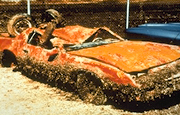 Zebra mussels cover a car.